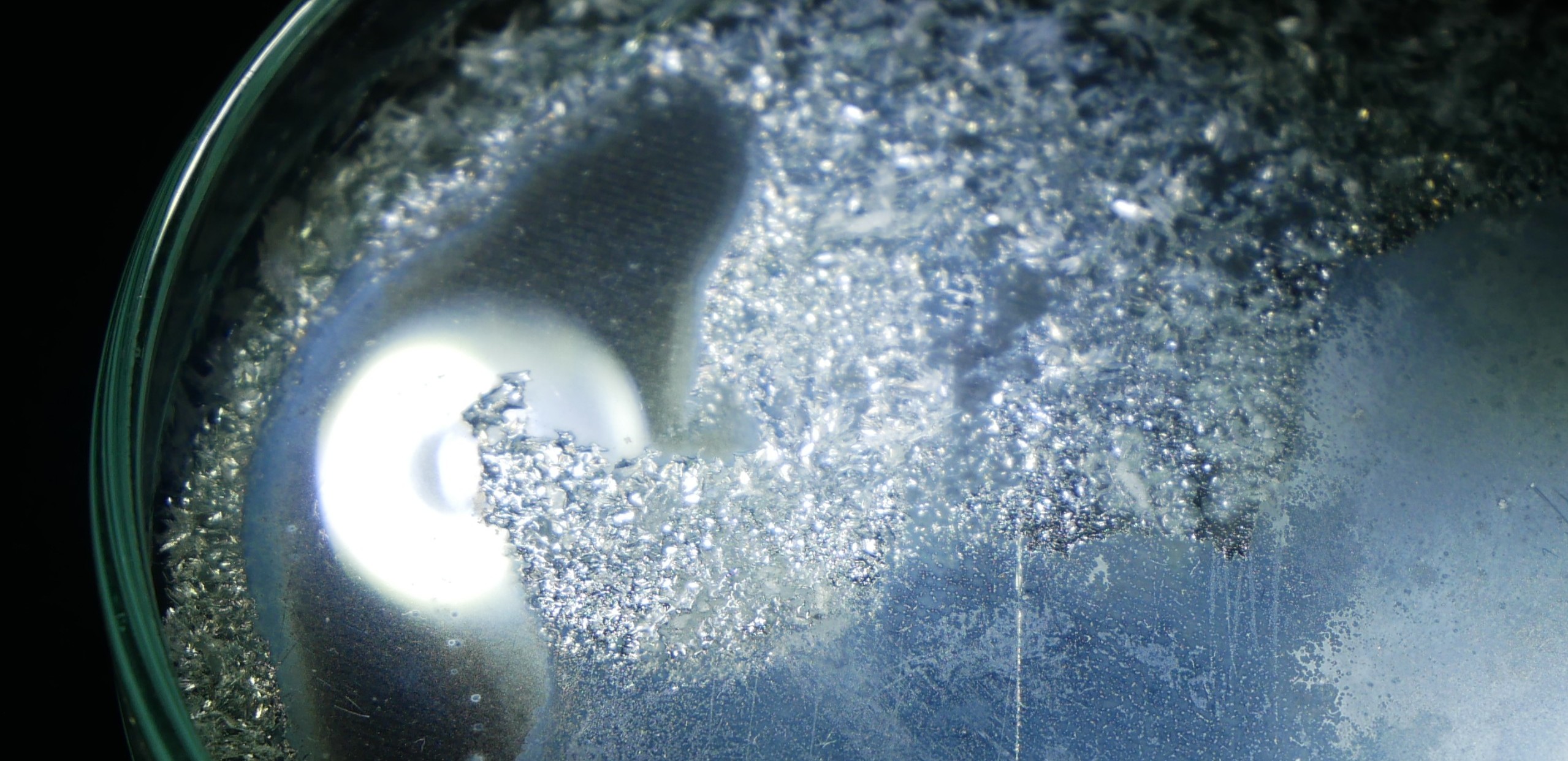 legal-high-inhaltstoffe-home-banner1